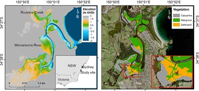 An Eco-Morphodynamic Modelling Approach to Estuarine Hydrodynamics & Wetlands in Response to Sea-Level Rise